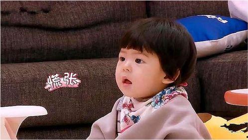 贾静雯波妞表情包,贾静雯萌态尽显，萌化网友心