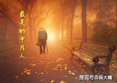 孤寡老人的故事背景,孤寡老人的温馨岁月与守望相助